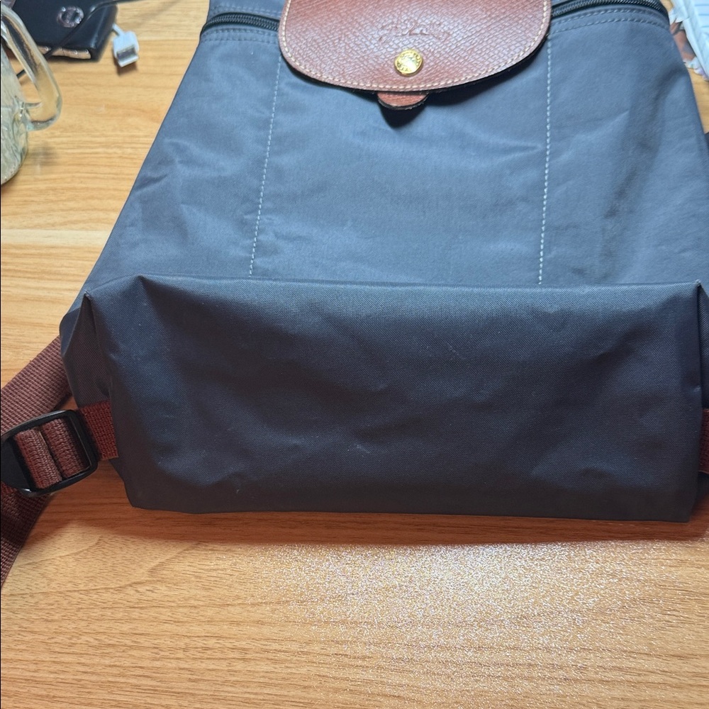 Longchamp Backpack - Picture 2 of 9